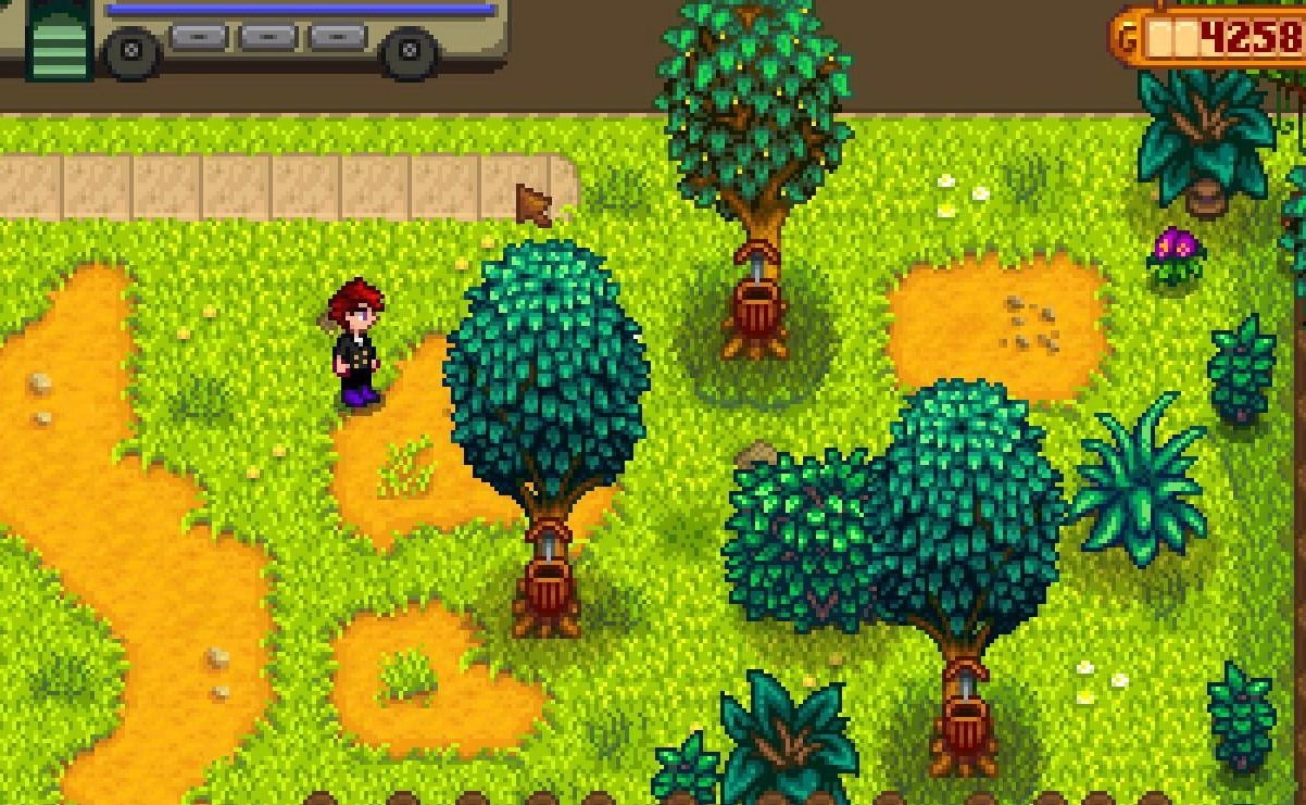 星露谷物语 年度版 截图2