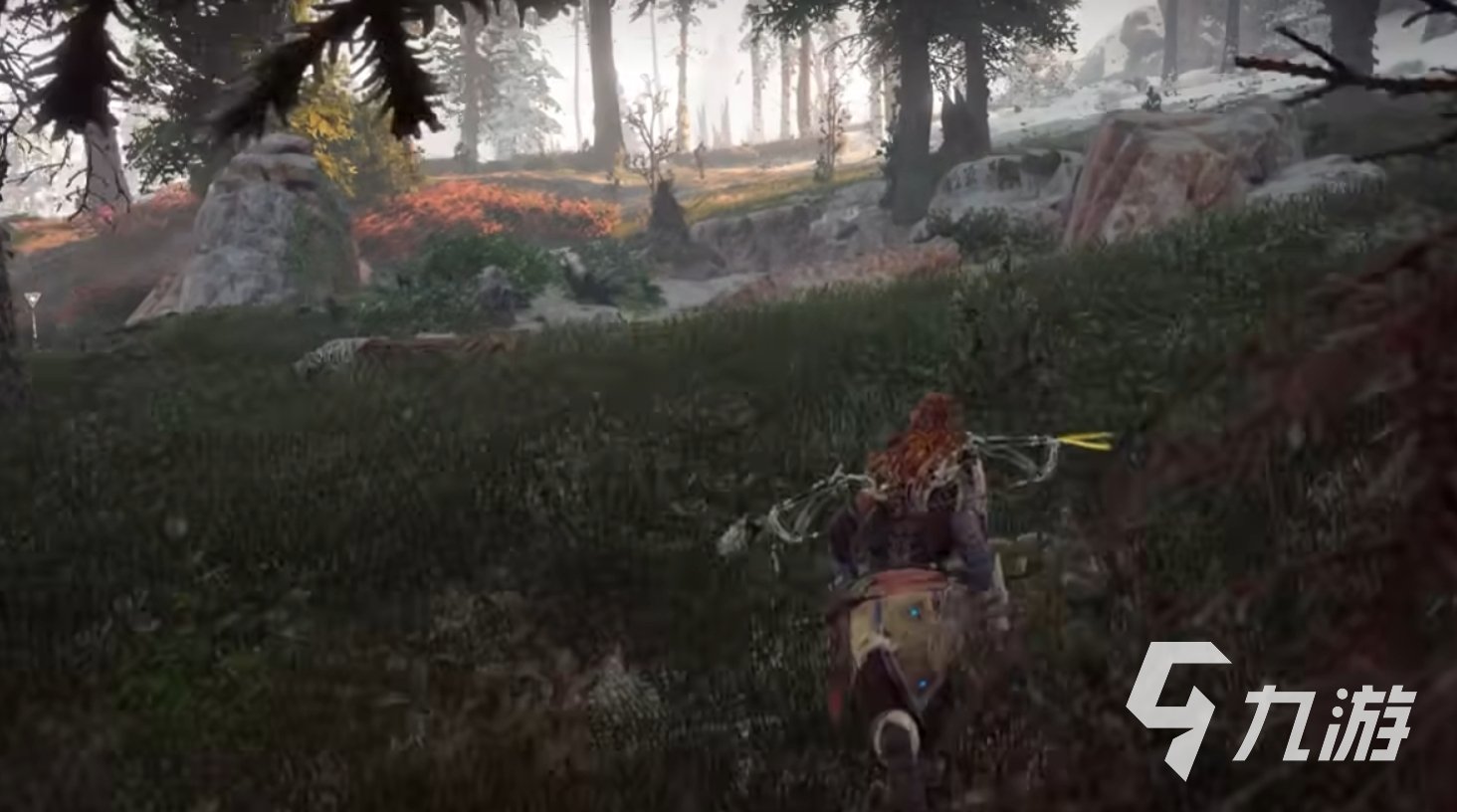 塞尔达传说：旷野之息 完整版 截图14