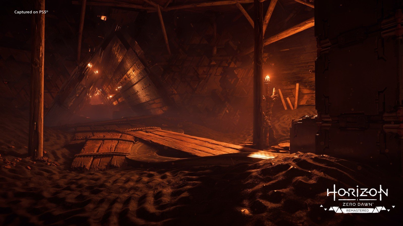 塞尔达传说：旷野之息 完整版 截图16